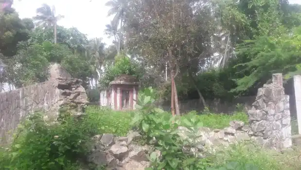 Arulmigu Soora Muppidari Arulmiguman Temple, Thazhakkudi - 629901 Arulmigu Soora Muppidari Arulmiguman Temple, Thazhakkudi - 629901, Kanyakumari - Ancient Temple Architecture and History Image 2