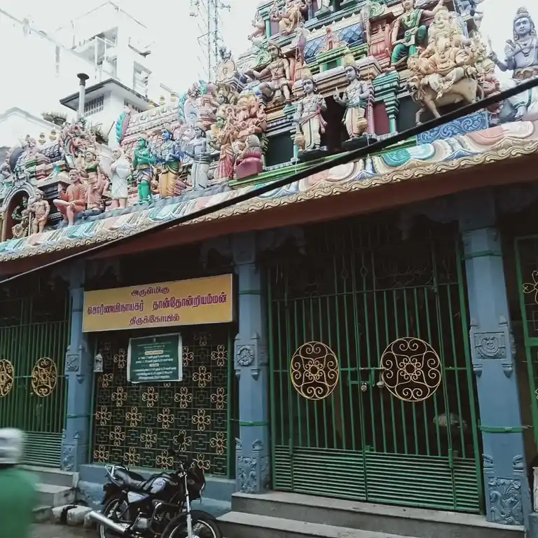 Arulmigu Sorna Vinayagar Thanthondri Amman Temple, Cheppauk, Chennai - 600005 அருள்மிகு சொர்ண விநாயகர் தான்தோன்றியம்மன் திருக்கோயில், சேப்பாக்கம், சென்னை - 600005, Chennai - Ancient Temple Architecture and History Image 5