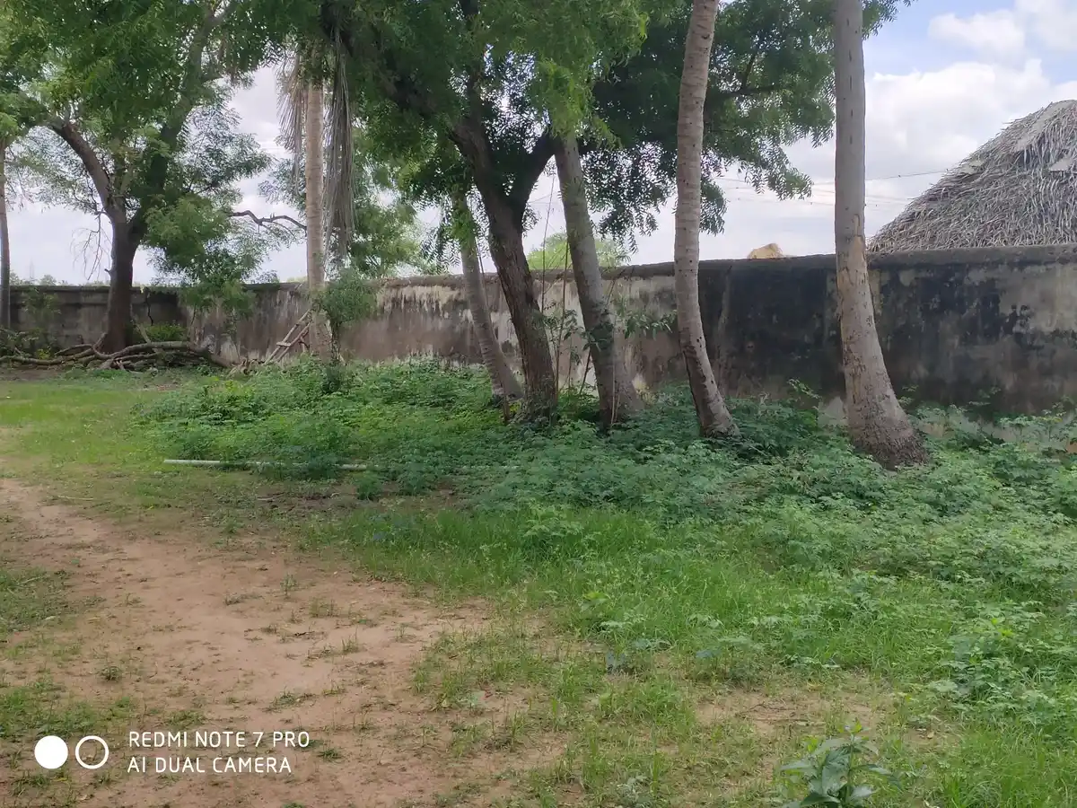 Arulmigu Sornapureeshwarar Temple, Arasarkulam - 614801 அருள்மிகு சொர்ணகிரீஸ்வரர் திருக்கோயில், அரசர்குளம் - 614801, Pudukkottai - Ancient Temple Architecture and History Image 7