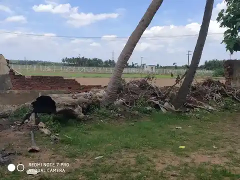 Arulmigu Sornapureeshwarar Temple, Arasarkulam - 614801 அருள்மிகு சொர்ணகிரீஸ்வரர் திருக்கோயில், அரசர்குளம் - 614801, Pudukkottai - Ancient Temple Architecture and History Image 8