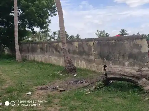 Arulmigu Sornapureeshwarar Temple, Arasarkulam - 614801 அருள்மிகு சொர்ணகிரீஸ்வரர் திருக்கோயில், அரசர்குளம் - 614801, Pudukkottai - Ancient Temple Architecture and History Image 9