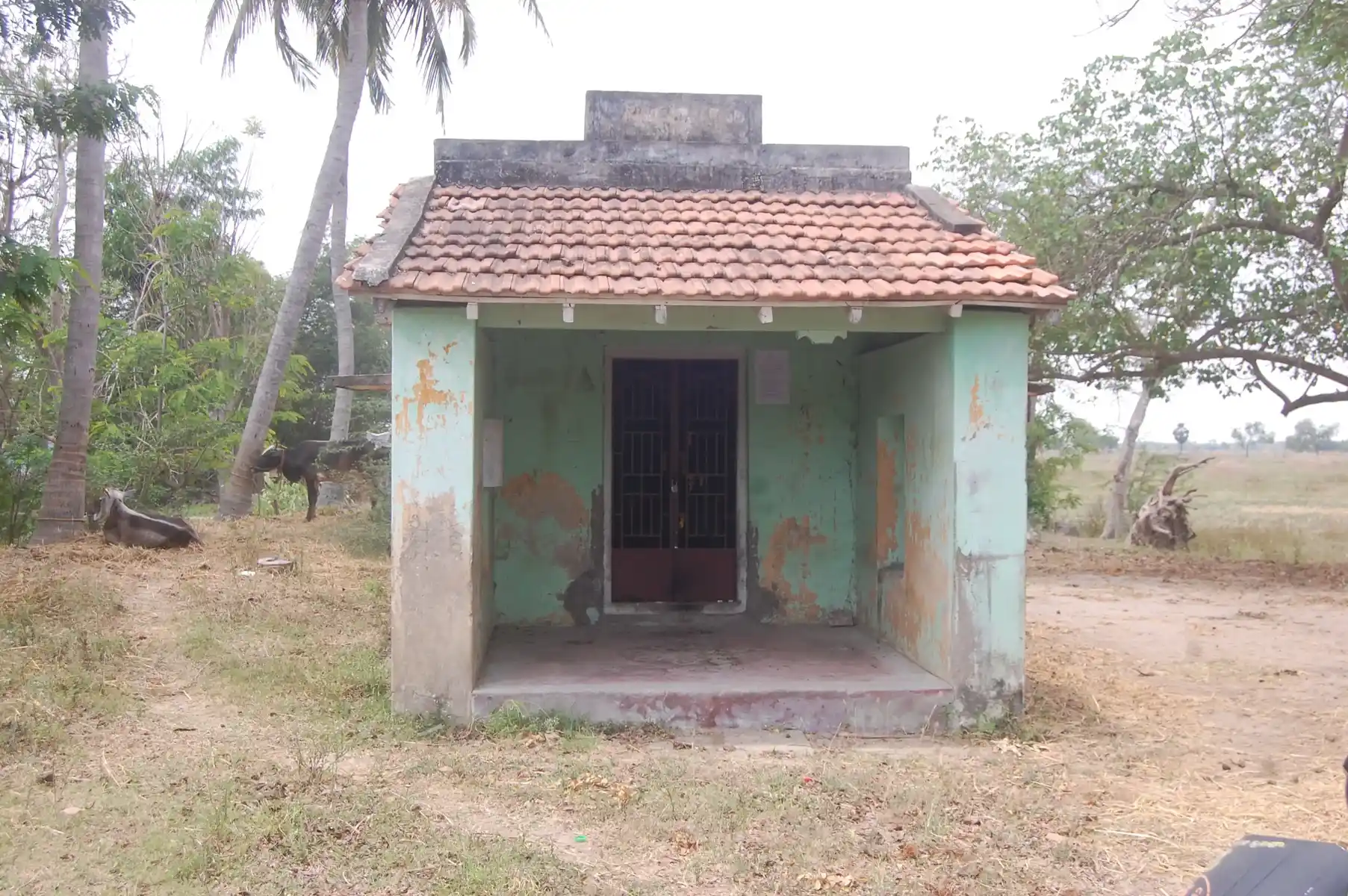 Arulmigu Sornapureeswarar Temple, Sembonavari - 610106 அருள்மிகு சொர்ணபுரீஸ்வரர் திருக்கோயில், Sembonavari - 610106, Nagapattinam - Ancient Temple Architecture and History Image 2