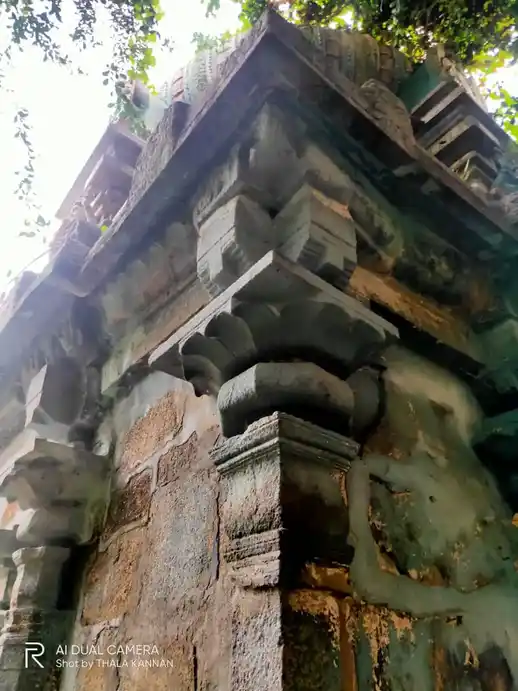 Arulmigu Sornapurieswarar Temple, Kaliyamalai - 608305 அருள்மிகு சுவர்ணபுரீஸ்வரர் திருக்கோயில், கலியமலை - 608305, Cuddalore - Ancient Temple Architecture and History Image 8