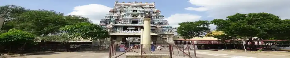 Arulmigu Soundararaja Perumal Temple, Thadicombu, Dindugul - 624709 அருள்மிகு சௌந்தரராஜபெருமாள் திருக்கோயில், தாடிகொம்பு, திண்டுக்கல் - 624709, Dindigul - Ancient Temple Architecture and History Image 4