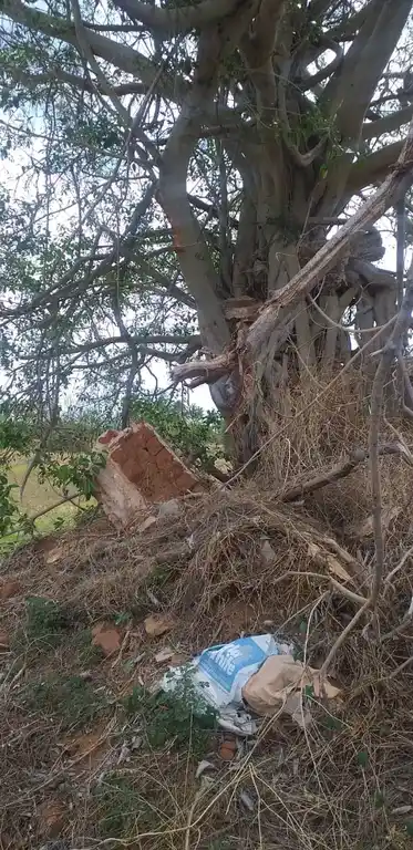 Arulmigu Soundararaja Perumal Temple, Vairampalayam - 624710 Temple