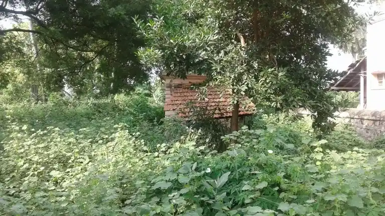 Arulmigu Sowmiyanathaswamy Temple, Punjai Sangenthi - 621713 Temple