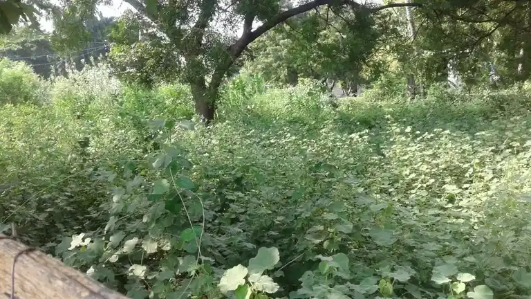 Arulmigu Sowmiyanathaswamy Temple, Punjai Sangenthi - 621713 அருள்மிகு சுவாமிநாதசுவாமி திருக்கோயில், Punjai Sangenthi, Punjai Sangenthi - 621713, Thiruchirappalli - Ancient Temple Architecture and History Image 2