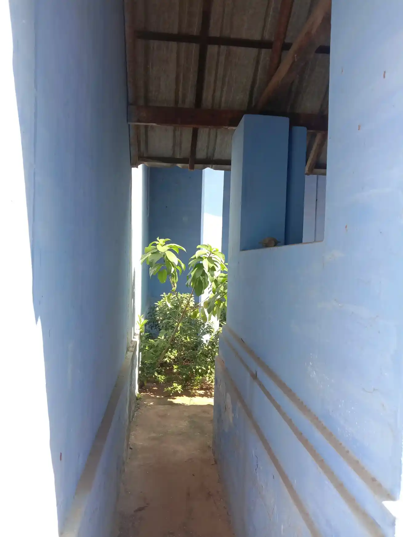 Arulmigu Sree Muthu Vinayagar, Mukthi Vinayagar Temple, Chinnamanur - 625515 அருள்மிகு ஸ்ரீ முத்து விநாயகர்,முக்தி விநாயகர் திருக்கோயில், Chinnamanur - 625515, Theni - Ancient Temple Architecture and History Image 4