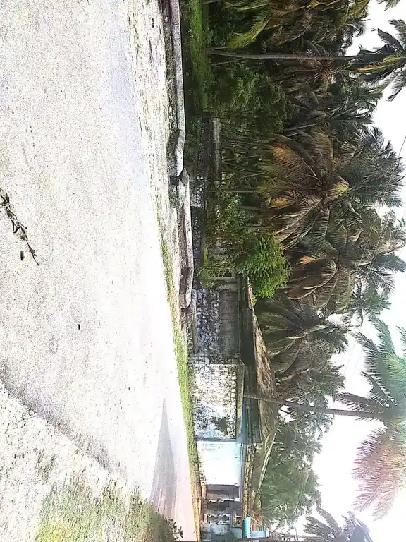 Arulmigu Sreedhara Nangaiamman Temple, Kezha, Therisanamkoppu - 629851 Arulmigu Sreedhara Nangaiamman Temple, Kezha, Therisanamkoppu - 629851, Kanyakumari - Ancient Temple Architecture and History Image 5