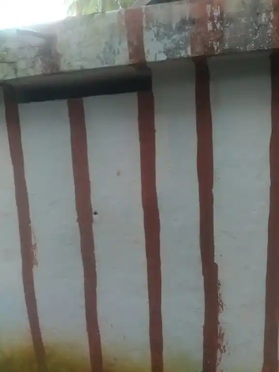 Arulmigu Sreeman Narayanasamy Temple, Near Govt. Primary School, Mecode - 629164