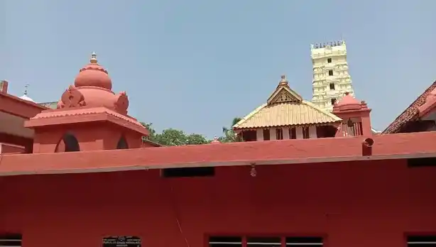 Arulmigu Sreeman Narayanaswamy Temple, Swamythoppu, Thenthmaraikulam - 629708 Arulmigu Sreeman Narayanaswamy Temple, Swamythoppu, Thenthmaraikulam - 629708, Kanyakumari - Ancient Temple Architecture and History Image 2