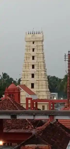 Arulmigu Sreeman Narayanaswamy Temple, Swamythoppu, Thenthmaraikulam - 629708 Arulmigu Sreeman Narayanaswamy Temple, Swamythoppu, Thenthmaraikulam - 629708, Kanyakumari - Ancient Temple Architecture and History Image 3