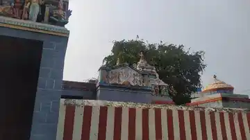 Arulmigu Sreeneevasa Perumal Temple, Seeliyur - 641104 அருள்மிகு சீனிவாசப்பெருமாள் திருக்கோயில், Seeliyur - 641104, Coimbatore - Ancient Temple Architecture and History Image 5