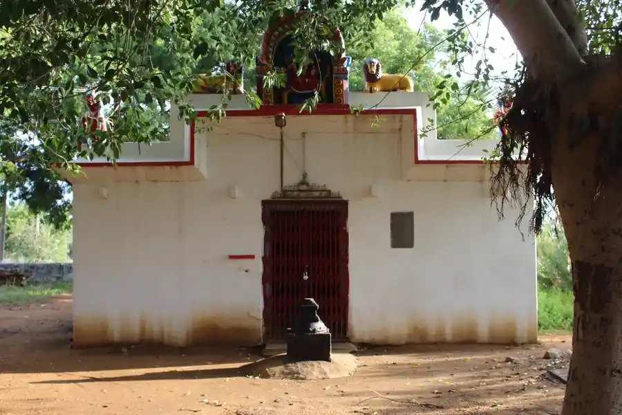 Arulmigu Sri Aynootruselviamman Temple, Street End, Pallikottai - 627357