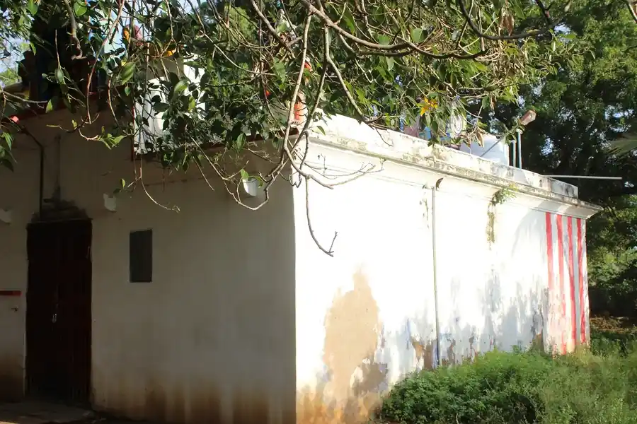 Arulmigu Sri Aynootruselviamman Temple, Street End, Pallikottai - 627357 அருள்மிகு ஸ்ரீ ஐநூற்று செல்வியம்மன் திருக்கோயில், Street End, பள்ளி கோட்டை - 627357, Tirunelveli - Ancient Temple Architecture and History Image 2