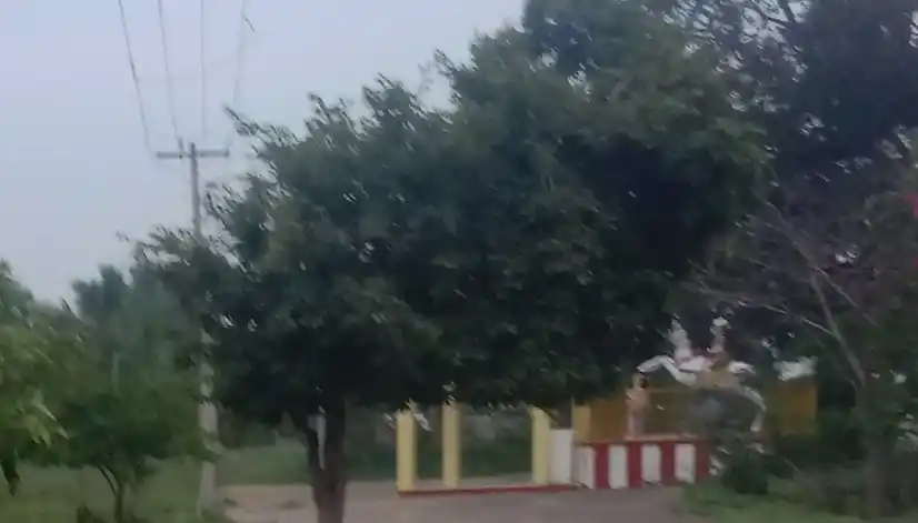 Arulmigu Sri Ayyanaar Swami Temple, Thavasimadai - 624304