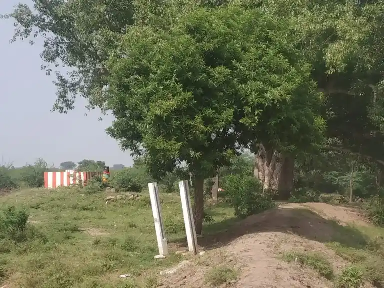 Arulmigu Sri Ayyanar Temple, Mangalrevu - 625703