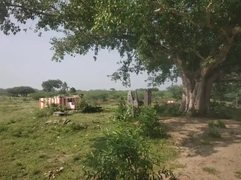 Arulmigu Sri Ayyanar Temple, Mangalrevu - 625703 அருள்மிகு அய்யனார் திருக்கோயில், Mangalrevu - 625703, Madurai - Ancient Temple Architecture and History Image 4