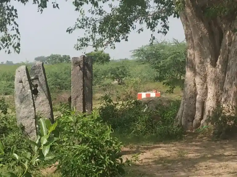 Arulmigu Sri Ayyanar Temple, Mangalrevu - 625703 அருள்மிகு அய்யனார் திருக்கோயில், Mangalrevu - 625703, Madurai - Ancient Temple Architecture and History Image 6