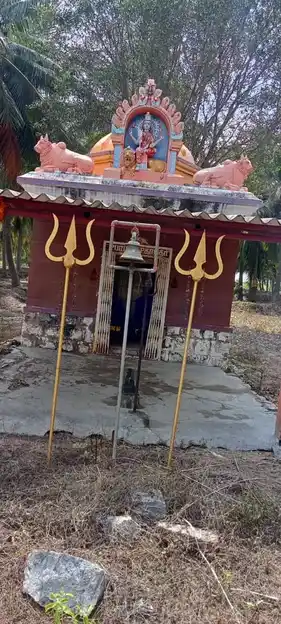 Arulmigu Sri Bhatrakaliamman Temple, Silvarpatti - 624709 Arulmigu Sri Bhatrakaliamman Temple, Silvarpatti - 624709, Dindigul - Ancient Temple Architecture and History Image 4
