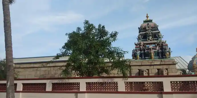 Arulmigu Sri Devi, Boodevi Sameda Srinivasa Perumal Temple, Pommanampalayam - 641010