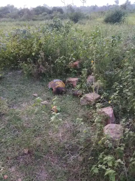 Arulmigu Sri Jakkalamman Temple, Kambiliyampatti - 624306 அருள்மிகு ஸ்ரீ ஜக்காலம்மன் திருக்கோயில், Kambiliyampatti - 624306, Dindigul - Ancient Temple Architecture and History Image 3