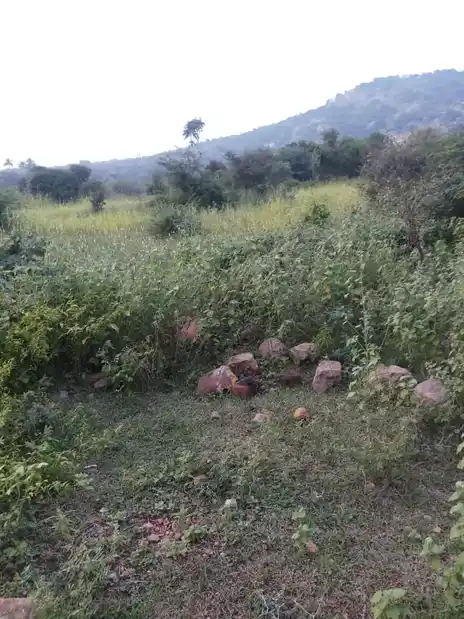 Arulmigu Sri Jakkalamman Temple, Kambiliyampatti - 624306 அருள்மிகு ஸ்ரீ ஜக்காலம்மன் திருக்கோயில், Kambiliyampatti - 624306, Dindigul - Ancient Temple Architecture and History Image 4