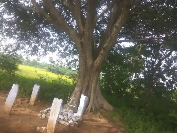 Arulmigu Sri Kadamlathi Kannimar Temple, Thethupatti - 624705