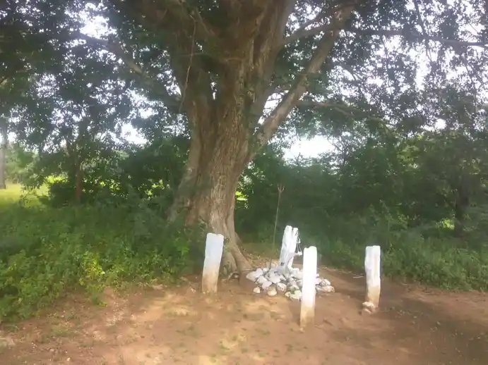 Arulmigu Sri Kadamlathi Kannimar Temple, Thethupatti - 624705 அருள்மிகு ஸ்ரீ கடம்ழத்தி கன்னிமார் திருக்கோயில், Thethupatti - 624705, Dindigul - Ancient Temple Architecture and History Image 2