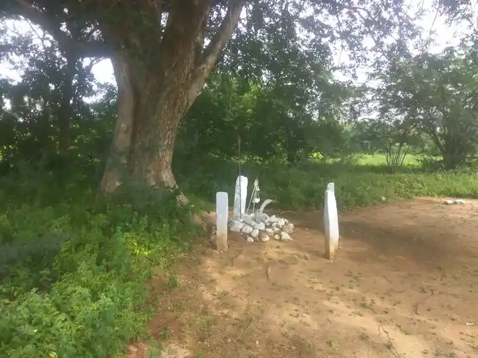 Arulmigu Sri Kadamlathi Kannimar Temple, Thethupatti - 624705 அருள்மிகு ஸ்ரீ கடம்ழத்தி கன்னிமார் திருக்கோயில், Thethupatti - 624705, Dindigul - Ancient Temple Architecture and History Image 3