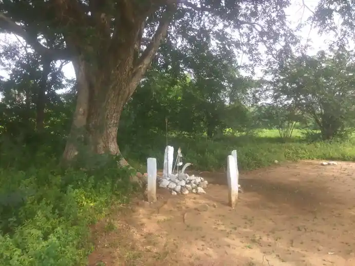 Arulmigu Sri Kadamlathi Kannimar Temple, Thethupatti - 624705 அருள்மிகு ஸ்ரீ கடம்ழத்தி கன்னிமார் திருக்கோயில், Thethupatti - 624705, Dindigul - Ancient Temple Architecture and History Image 4