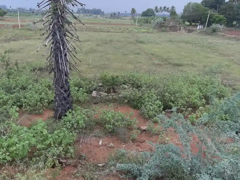 Arulmigu Sri Kannimar Temple, Rakalapuram - 624304