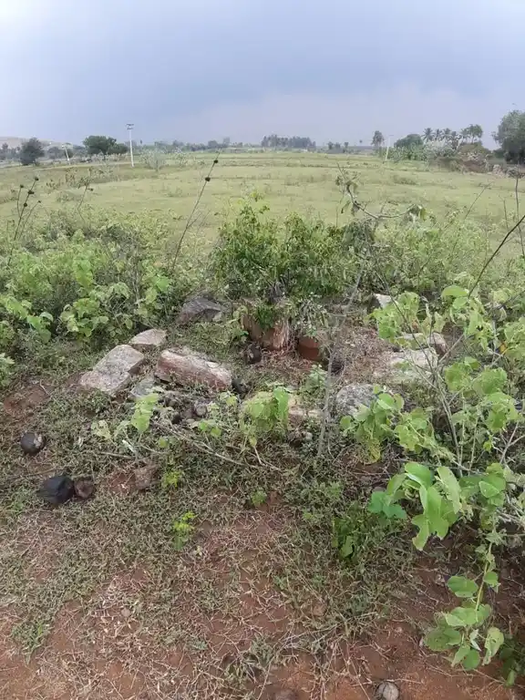 Arulmigu Sri Kannimar Temple, Rakalapuram - 624304 அருள்மிகு ஸ்ரீகன்னிமார் திருக்கோயில், Rakalapuram - 624304, Dindigul - Ancient Temple Architecture and History Image 2