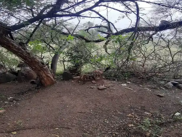 Arulmigu Sri Nambinayakar Kulam Kannimaar Temple, Nambinayakarkulam - 624706 அருள்மிகு ஸ்ரீ நம்பி நாயக்கர் குளம் கன்னிமார் திருக்கோயில், Nambinayakarkulam - 624706, Dindigul - Ancient Temple Architecture and History Image 4