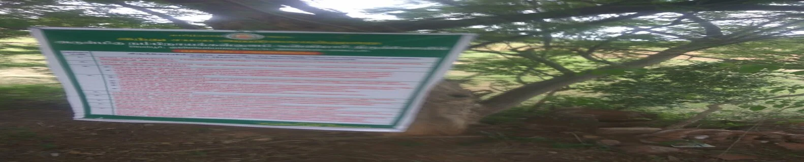 அருள்மிகு ஸ்ரீ நம்பி நாயக்கர் குளம் கன்னிமார் திருக்கோயில், Nambinayakarkulam - 624706 - Main View