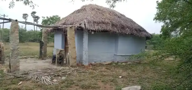 Arulmigu Sri Narasinga Perumal Temple, Thirukoornam - 624620