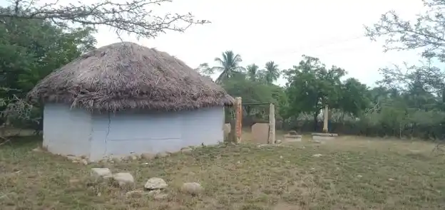 Arulmigu Sri Narasinga Perumal Temple, Thirukoornam - 624620 Arulmigu Sri Narasinga Perumal Temple, Thirukoornam - 624620, Dindigul - Ancient Temple Architecture and History Image 4