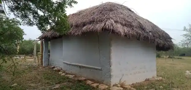Arulmigu Sri Narasinga Perumal Temple, Thirukoornam - 624620 Arulmigu Sri Narasinga Perumal Temple, Thirukoornam - 624620, Dindigul - Ancient Temple Architecture and History Image 5