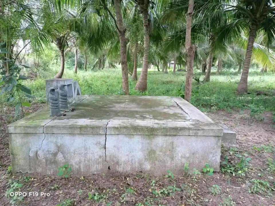 Arulmigu Sri Pambaalamman Temple, Padiyur - 624005 அருள்மிகு ஸ்ரீ பாம்பாலம்மன் திருக்கோயில், Padiyur - 624005, Dindigul - Ancient Temple Architecture and History Image 4