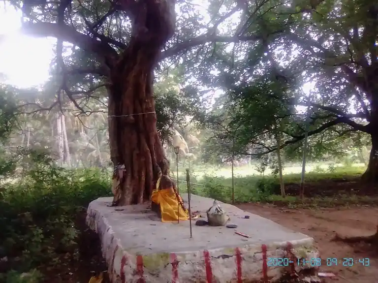 Arulmigu Sri Sellandi Amman Temple, Mallayapuram - 624707 அருள்மிகு மல்லையபுரம் ஸ்ரீ செல்லாண்டியம்மன் திருக்கோயில், Mallayapuram - 624707, Dindigul - Ancient Temple Architecture and History Image 2