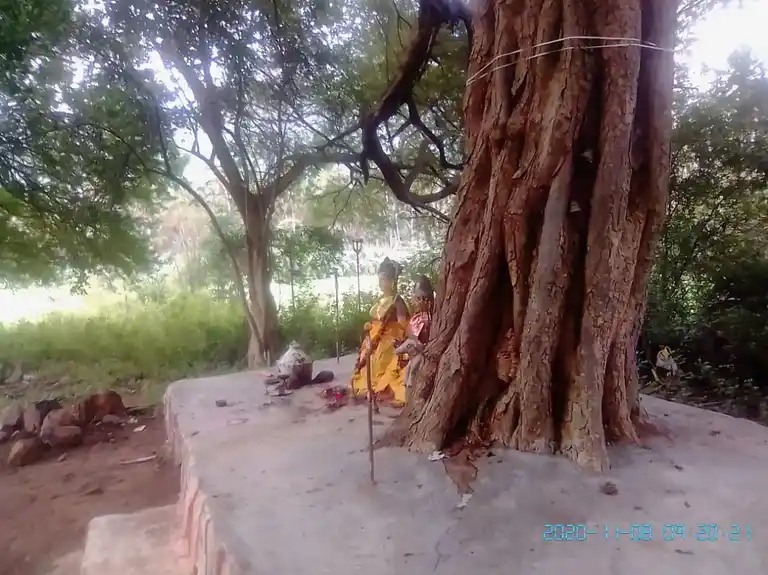 Arulmigu Sri Sellandi Amman Temple, Mallayapuram - 624707 அருள்மிகு மல்லையபுரம் ஸ்ரீ செல்லாண்டியம்மன் திருக்கோயில், Mallayapuram - 624707, Dindigul - Ancient Temple Architecture and History Image 3