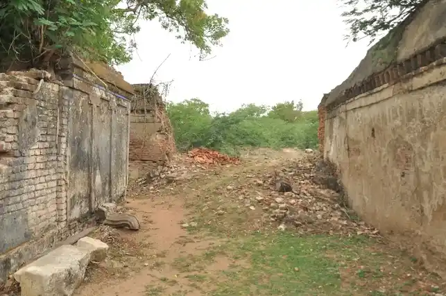 Arulmigu Sri Thareshwarar Temple, Vellur - 621316 அருள்மிகு ஸ்ரீ தரேஸ்வரர் திருக்கோயில், Vellur - 621316, Pudukkottai - Ancient Temple Architecture and History Image 6