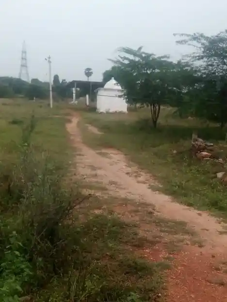 Arulmigu Sri Varatharajaperumal Temple, Usilampatty - 624706 அருள்மிகு ஸ்ரீவரதராஜப் பெருமாள் திருக்கோயில், Usilampatty - 624706, Dindigul - Ancient Temple Architecture and History Image 3
