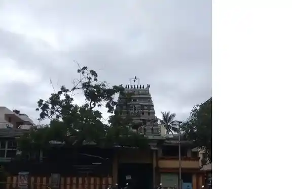 Arulmigu Sridevi Ellaiamman Temple, Vannanthurai, Chennai - 600020 அருள்மிகு ஸ்ரீ தேவி எல்லையம்மன் திருக்கோயில், வண்ணந்துறை, சென்னை - 600020, Chennai - Ancient Temple Architecture and History Image 4