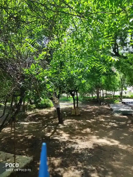 Arulmigu Srilasri Ramalinga Samy Odukka Alayam Samathi, Puliyangudi - 627755 அருள்மிகு ஸ்ரீலஸ்ரீ ராமலிங்க சுவாமி ஒடுக்க ஆலயம், ப - 627755, Tenkasi - Ancient Temple Architecture and History Image 7