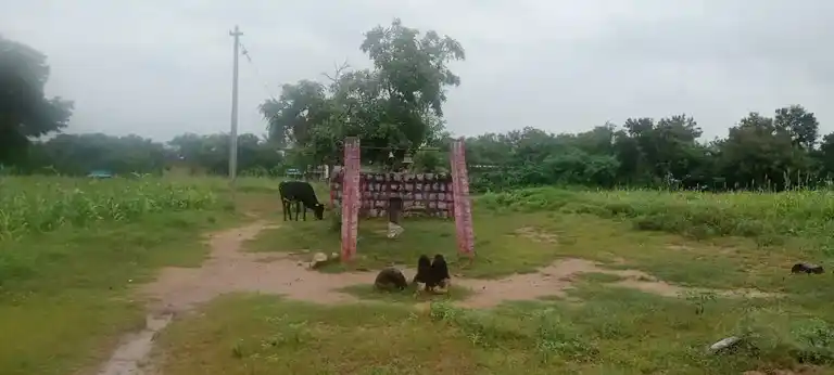 Arulmigu Sriman Narayana Thesikar Gurusamy Temple, A.Kottaipatti - 625535