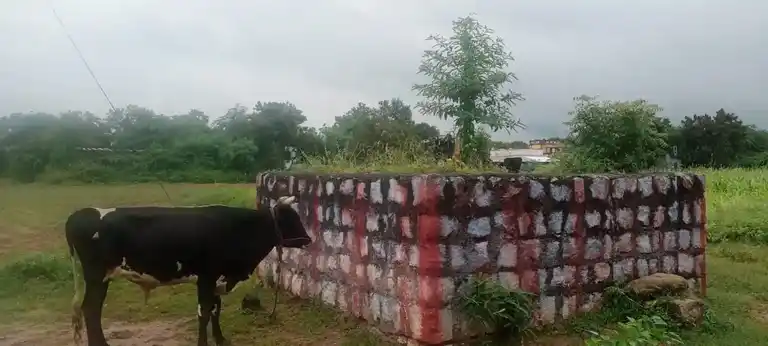 Arulmigu Sriman Narayana Thesikar Gurusamy Temple, A.Kottaipatti - 625535 அருள்மிகு ஸ்ரீமன் நாராயண தேசிகர் குருசாமி திருக்கோயில், A.Kottaipatti - 625535, Madurai - Ancient Temple Architecture and History Image 2