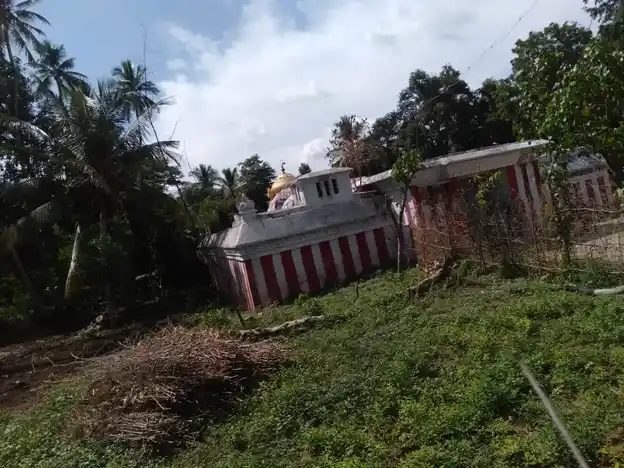 Arulmigu Srinivasa Perumal Temple, Mela Punavasal - 613204 அருள்மிகு சீனிவாசப்பெருமாள் திருக்கோயில், Mela Punavasal - 613204, Thanjavur - Ancient Temple Architecture and History Image 8