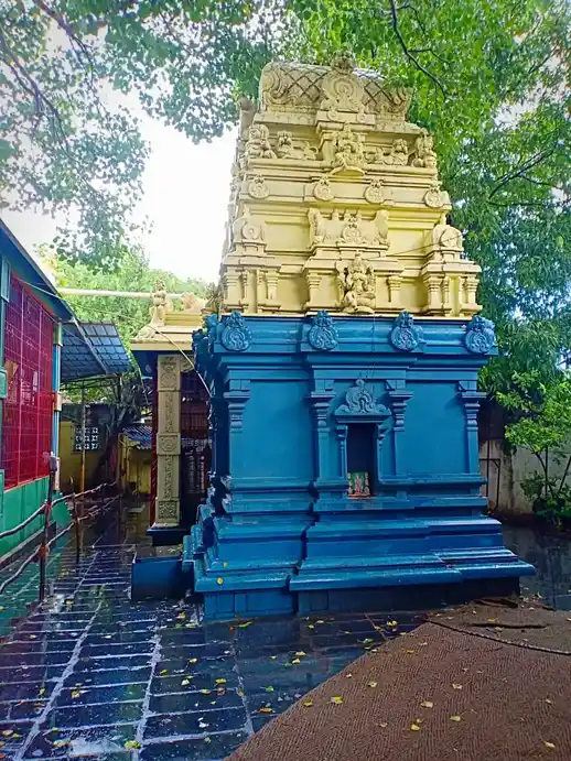 Arulmigu Srinivasa Perumal Temple, Pallavaram, Chennai - 600043 அருள்மிகு சீனிவாசப் பெருமாள் திருக்கோயில், பல்லாவரம், சென்னை - 600043, Chengalpattu - Ancient Temple Architecture and History Image 2