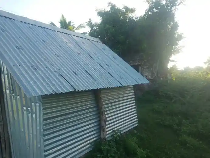 Arulmigu Srinivasa Perumal Temple, Puthankottagam - 614705 அருள்மிகு சீனிவாசபெருமாள் திருக்கோயில், Puthankottagam - 614705, Thiruvarur - Ancient Temple Architecture and History Image 3